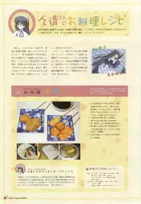 clover heart's visual fan book