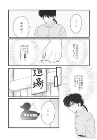 (SPARK13) [Progretrance, soulsonic (Eiri, Hashimoto)] Yaitenei! (Ranma 1/2)