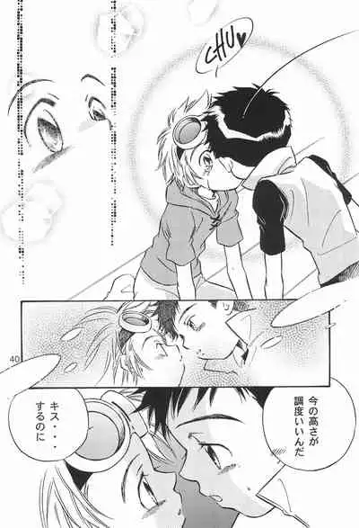 (C61) [anti-knock, MARIJUANA PICKERS, Deko Tamiya (Various)] WILD CUBE (Digimon Tamers)