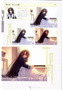 Otome wa boku ni koi shiteru Visual Fanbook (Otoboku)