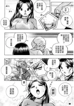 Reijou Maiko ~Kyuuke no Hien~