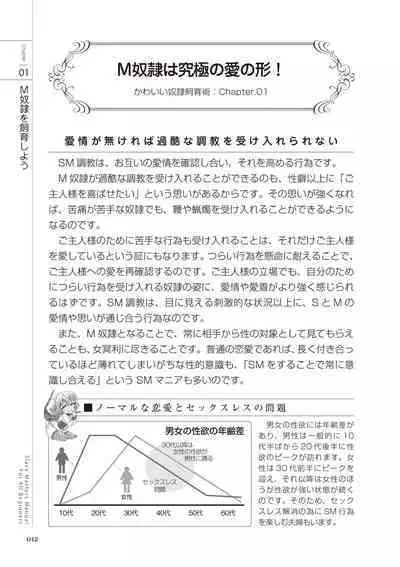 Zero kara Hajimeru SM Manual Kawaii Dorei Shiikujutsu