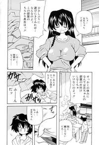 [Yasui Hirosato] Tennen Milk Pie