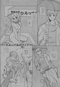 (C68) [HEAVENS (Tsukikage Manmaru)] Nyan Nyan (Fullmetal Alchemist)