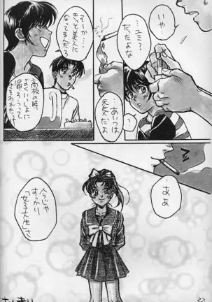 Piyoko no Pi Zoukan 3 TOKIMEKI TEKKEN BIO HAZARD