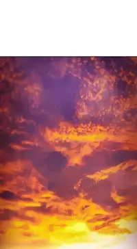 [Studio Gale] Lady Garden Ch.1-33 (English) (Ongoing)