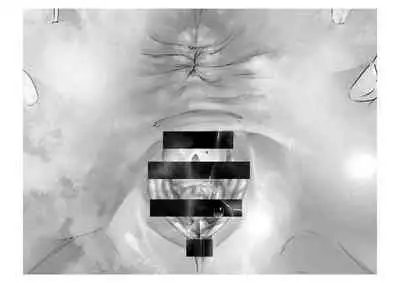 [Tsuchikuda Material]