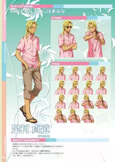 Natsuzora Kanata Official Visual Fan Book