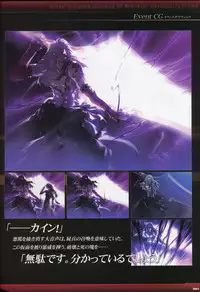 Dies irae Visual Fanbook - Black Book