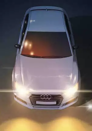 SISTER NEIGHBORS 102