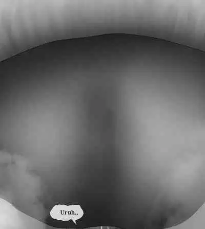 Female Students Working Part-Time In Prison