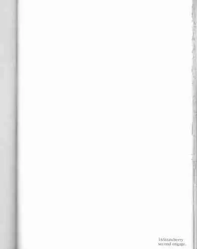 16Strawberry