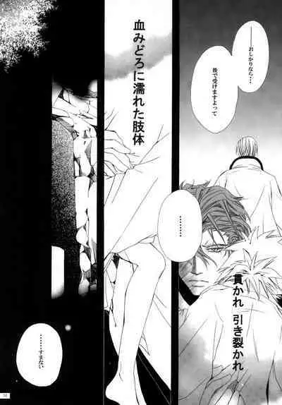 AISIRO Soushuuhen II