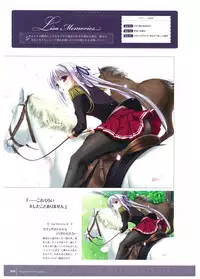 Walkure Romanze Visual Fan Book