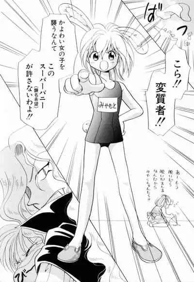 [Hikaru Nagareboshi] Seigi No Mikata Mo Raku Zya Nai