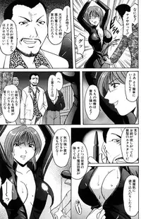 [Hoshino Ryuichi] Kannou Jikken