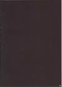 (C79) [Mahou Rikigaku (Miwatari Renge)] Nakadasarete Gensoukyou Insane (Touhou Project)