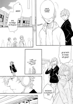 The Daydreamer Falls in Love