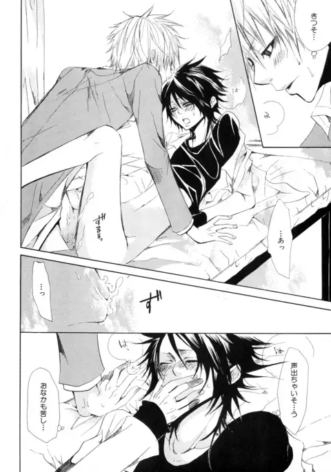 b-BOY Phoenix Vol.11 Shiroisha Tokushuu