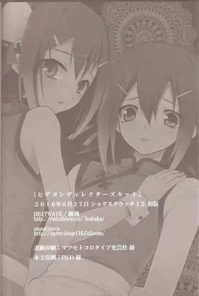 Hideyoshi Director's Cut