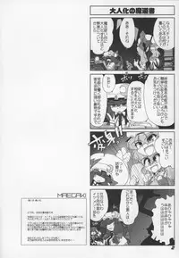 (SC38) [Kieyza cmp (Kieyza)] TOHO N+ Change to adult FLANDRE (Touhou Project)