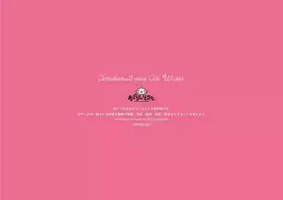 Amakano 2 SOFMAP ORIGINAL MINI ARTWORKS