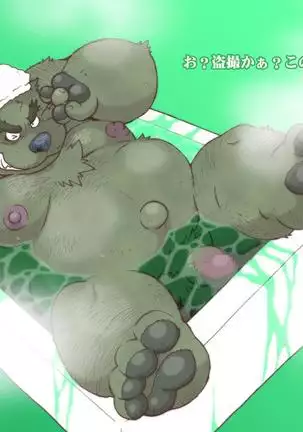 Yokosima Chemose 1985