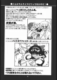 (SC31) [UA Daisakusen (Harada Shoutarou)] Ruri Dou Gahou 29 (Samurai Spirits)