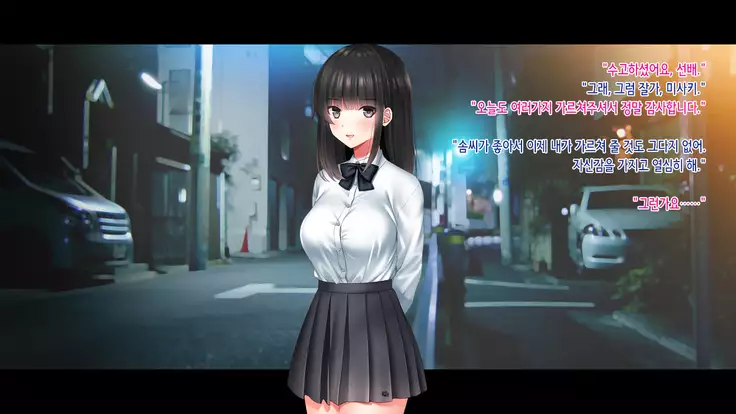 Kanojo o Hameru Saikou no Houhou