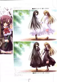 Otome wa boku ni koi shiteru Visual Fanbook (Otoboku)