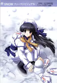 [Studio Mebius] SNOW ART WORKS