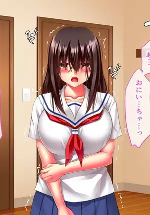 Hikaeme Jimime na Imouto to Nettori Gattsuri Love Love Ecchi