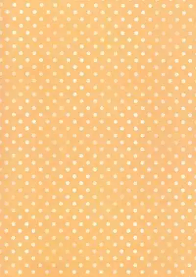 Imouto to Hajimemashita