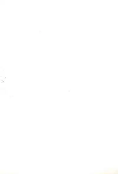 Mini 4 Fighter Jun-chan!!