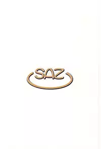 (C87) [SAZ (Onsoku Zekuu)] Mirai no Sekai (Gundam Build Fighters Try)