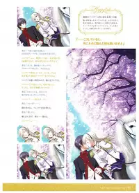 Walkure Romanze Visual Fan Book