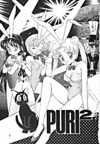 (C43) [Team PRINCESS (Ozuno Mahou)] PURI² (Various)