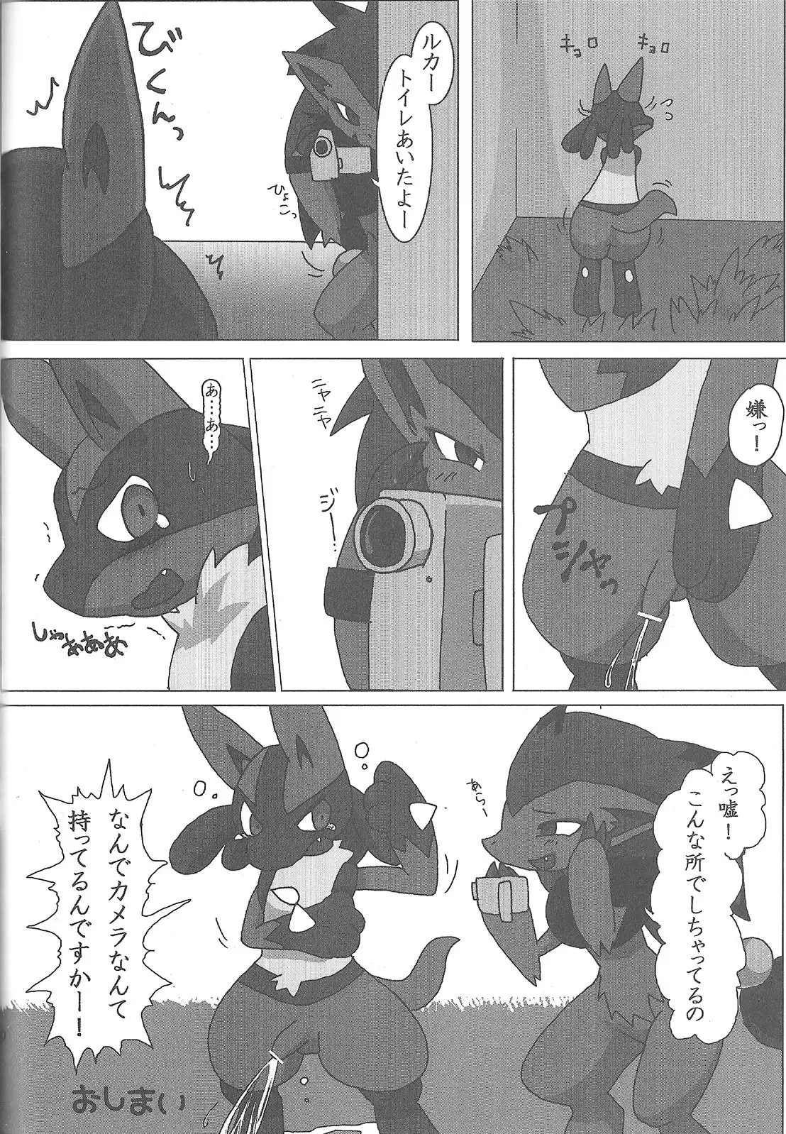 LUCARIO IJIME ANTHOLOGY