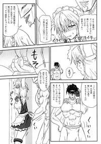 [Sumeragi Designs (Sumeragi Seisuke)] D4C (Touhou Project) [Digital]