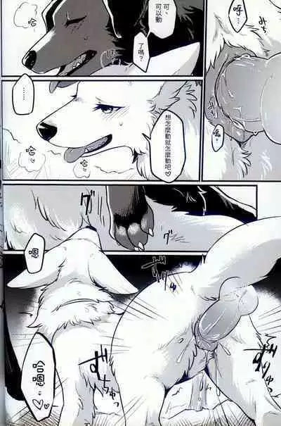 Hakoniwa Jealousy | 箱庭之妒