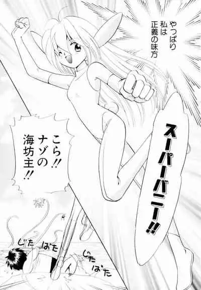 [Hikaru Nagareboshi] Seigi No Mikata Mo Raku Zya Nai