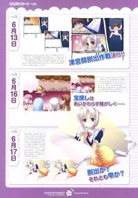 Tsunagaru Bangle - Visual Fan Book