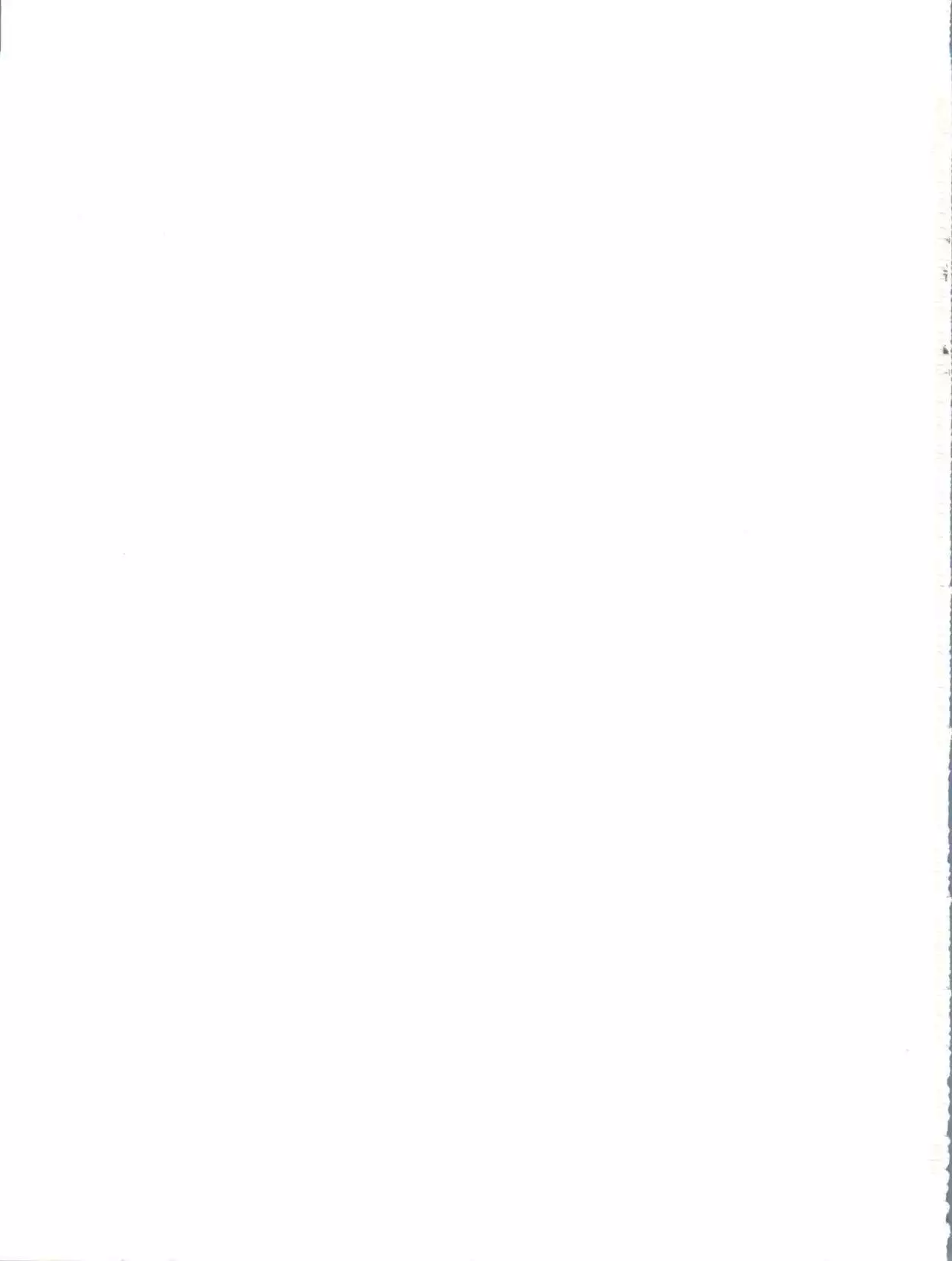 Itoshi no Tako-san Weiner