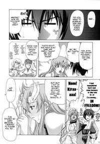 (C71) [GOLD RUSH (Suzuki Address)] A Diva of Healing (Gundam SEED Destiny) [English] [EHCOVE]