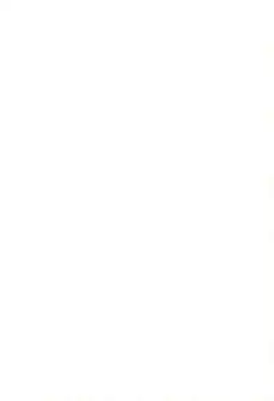 Toukai Chiiki Genteiteki Ramen-ya Kanban Musume Soushuuhen