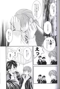 [Haribote (Ren Hotaka)] Dounimo Tomaranai (Harry Potter)