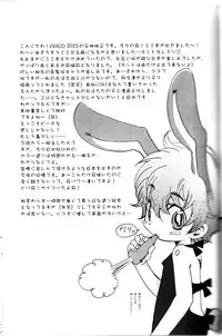 Peach Drop- Arco Iris