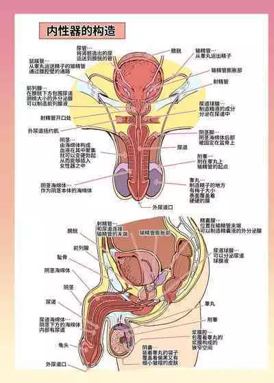 Maid-san to Manabu Onnanoko no Karada