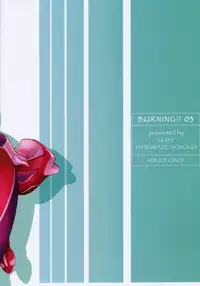 (C70) [GUST (Harukaze Soyogu)] Burning!! 03 (Gundam SEED DESTINY)