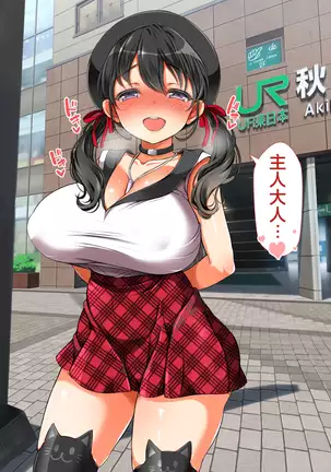 Lucky Dosukebe! Kouhen